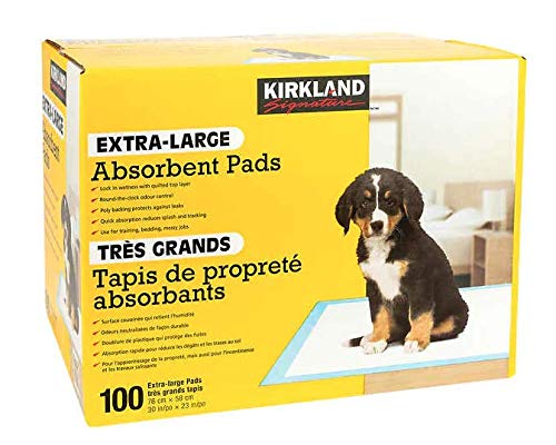 Extra-Large Absorbent Pads, 100 Large Pads, 30"x23" by Kirkland