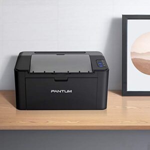 Pantum P2502W Wireless Laser Printer Home Office Use, Black and White Printer with Mobile Printing (V8V77B)