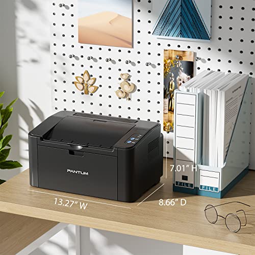 Pantum P2502W Wireless Laser Printer Home Office Use, Black and White Printer with Mobile Printing (V8V77B)