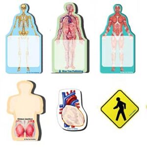 fun anatomy sticky notes collection, 6 pack-100 sheets per pack, medical note pads and great gifts.