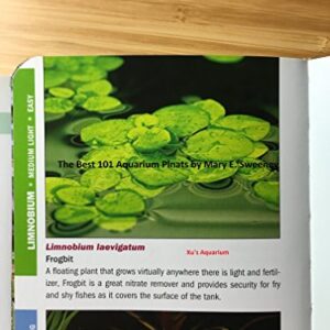 12 Amazon Frogbit (Limnobium Laevigatum), Live Aquarium/Aquatic Floating Plant by G&Z