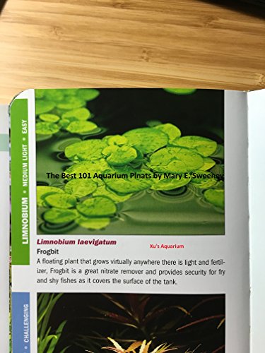 12 Amazon Frogbit (Limnobium Laevigatum), Live Aquarium/Aquatic Floating Plant by G&Z