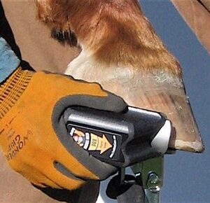 EVO Hoof Care The Radius Rasp-2  'PRO' Barefoot hoof Shaping Tool, Plastic Ergonomic Handle with Solid Stainless Steel Blade with Standard Rasp Teeth