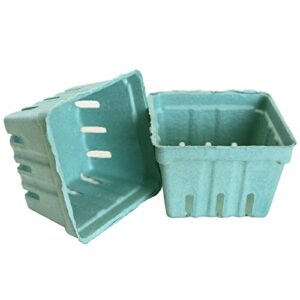 pastel colors berry basket- 10 count (green)