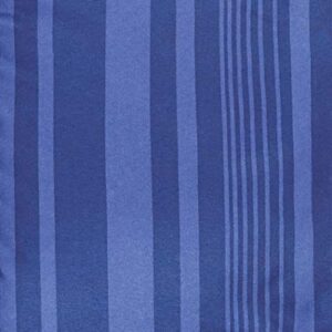 Amazon Basics Lightweight Microfiber Bed-In-A-Bag 5 Piece Comforter Bedding Set, Twin/Twin XL, Blue Calvin Striped