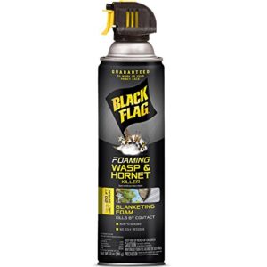 black flag foaming wasp & hornet killer, kills wasps and hornets nests by contact, 14 ounce (aerosol spray)