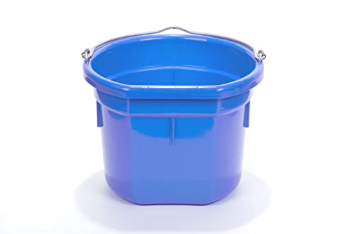 Little Giant® Flat Back Plastic Animal Feed Bucket | Animal Feed Bucket with Metal Handle | Horse Feed & Water Bucket | 8 Quarts | Blue