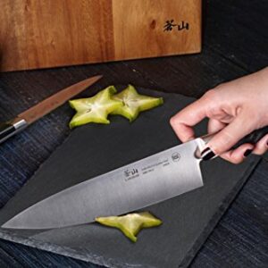 Cangshan Y2 Series Knife Set, 6-Piece German Steel Block, Silver