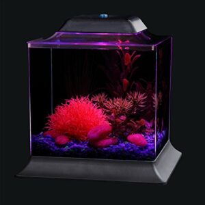 Koller Products 1.5-Gallon AquaScene Aquarium with LED Lighting