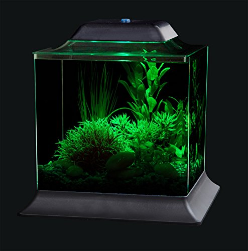 Koller Products 1.5-Gallon AquaScene Aquarium with LED Lighting