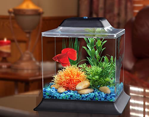 Koller Products 1.5-Gallon AquaScene Aquarium with LED Lighting