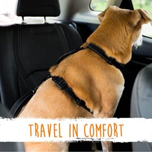 Mighty Paw Dog Seat Belt | Latchbar Dog Seatbelt Tether, Pet Seat Belt for Car, Dog Car Leash, Dog Safety Belt for Car, Seatbelt for Dog in Car, Dog Seat Belt for Car, Dog Car Seat Belt Large - Puppy