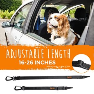 Mighty Paw Dog Seat Belt | Latchbar Dog Seatbelt Tether, Pet Seat Belt for Car, Dog Car Leash, Dog Safety Belt for Car, Seatbelt for Dog in Car, Dog Seat Belt for Car, Dog Car Seat Belt Large - Puppy