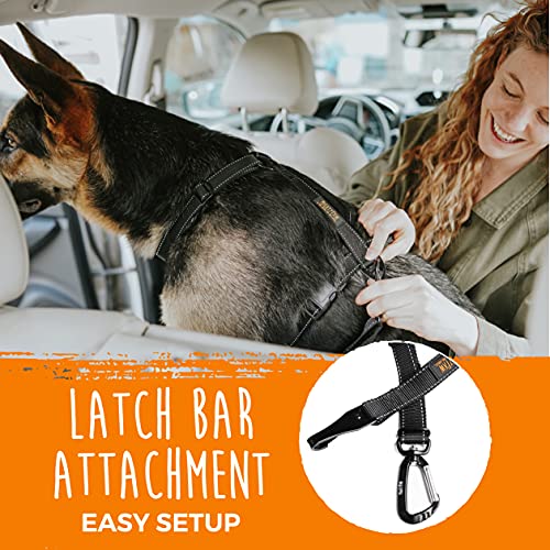 Mighty Paw Dog Seat Belt | Latchbar Dog Seatbelt Tether, Pet Seat Belt for Car, Dog Car Leash, Dog Safety Belt for Car, Seatbelt for Dog in Car, Dog Seat Belt for Car, Dog Car Seat Belt Large - Puppy