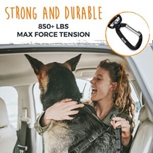 Mighty Paw Dog Seat Belt | Latchbar Dog Seatbelt Tether, Pet Seat Belt for Car, Dog Car Leash, Dog Safety Belt for Car, Seatbelt for Dog in Car, Dog Seat Belt for Car, Dog Car Seat Belt Large - Puppy