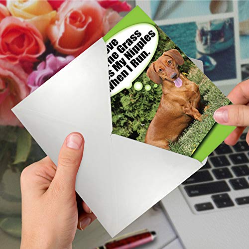 NobleWorks - 1 Adorable Birthday Card Funny - Pet Dog Animal Humor, Bday Notecard with Envelope - Tickle My N-pples C2069BDG