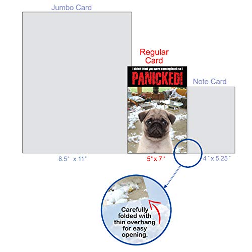 NobleWorks - 1 Cute Birthday Card with Envelope - Funny Wild Animals and Pets, Birthday Greeting - Dog Panicked C2233BDG