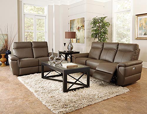 Homelegance Olympia Modern Design Power Reclining Sofa Top Grain Genuine Leather Match, Raisin