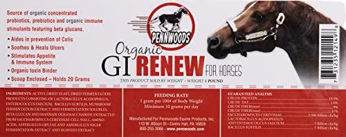 Pennwoods GI Renew, Probiotics for Equine, Immune and Appetite Stimulation, Prebiotics, Digestive Enzymes | Horse Supplement Providing Ulcer Relief and Organic Toxin Binder, 5 LB Pouch