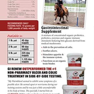 Pennwoods GI Renew, Probiotics for Equine, Immune and Appetite Stimulation, Prebiotics, Digestive Enzymes | Horse Supplement Providing Ulcer Relief and Organic Toxin Binder, 5 LB Pouch
