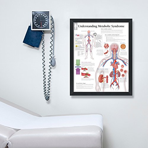 Understanding Metabolic Syndrome Framed Medical Educational Informational Poster Diagram Doctors Office School Classroom 22x28 Inches