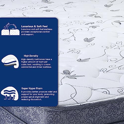Spring Coil 13-Inch Extra Firm Foam Encased Eurotop Hybrid Mattress & 8" Wood Traditional Box Spring/Foundation Set, King, Black