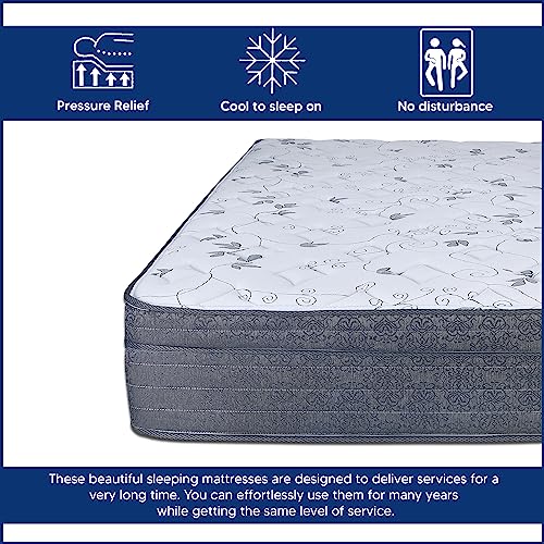 Spring Coil 13-Inch Extra Firm Foam Encased Eurotop Hybrid Mattress & 8" Wood Traditional Box Spring/Foundation Set, King, Black