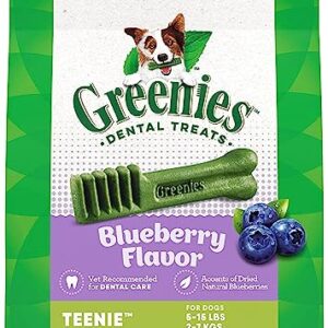 Gn Flavors Blueberry 12oz Teenie 43ct