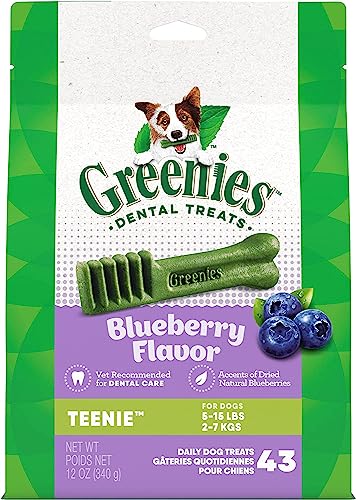 Gn Flavors Blueberry 12oz Teenie 43ct