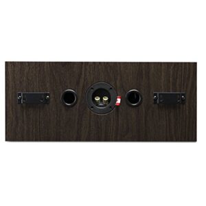 Fluance Signature HiFi 2-Way Center Channel Speaker for Enhanced Dialogue and Vocals in Home Theater Surround Sound Systems - Natural Walnut (HFCW)