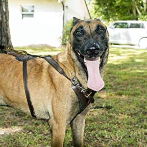 Viper Biothane Working Tracking Lead Leash Long Line for Dogs, Black