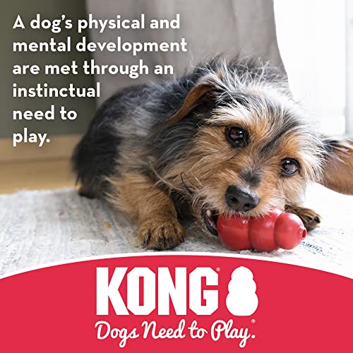 KONG Puppy Tires - Durable Puppy Chew Toy - Soft Rubber Treat Toys for Puppies & Dogs - Stuffable Dog Chew Toy - Puppy Teething Toy for Fetch & Mental Enrichment - Tire Chew Toy - Small Puppies