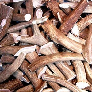 Premium Deer Antler Pieces - Dog Chews - Antlers by The Pound, One Pound - Six Inches or Longer - Medium, Large and XL - Happy Dog Guarantee!