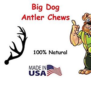 Premium Deer Antler Pieces - Dog Chews - Antlers by The Pound, One Pound - Six Inches or Longer - Medium, Large and XL - Happy Dog Guarantee!