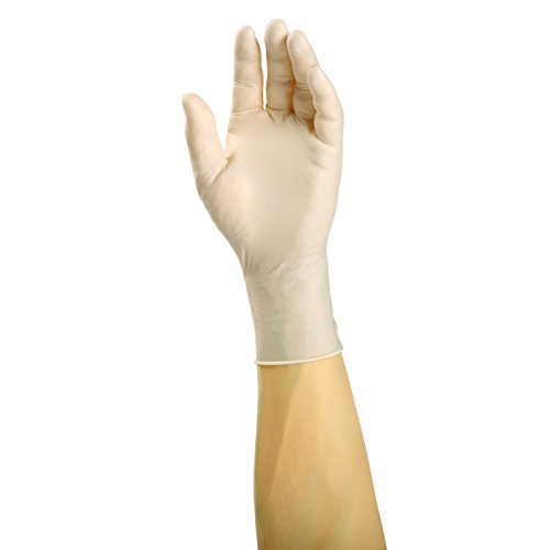 Ultra Flex Powder Free Latex Examination Gloves X-Large (300-4).