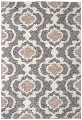 Cozy Moroccan Trellis Gray/Cream 5'3" x 7'3" Indoor Shag Area Rug