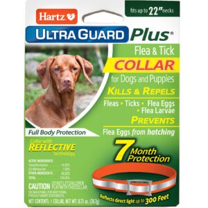 Hartz UltraGuard Plus Reflective Orange Flea & Tick Collar for Dogs and Puppies