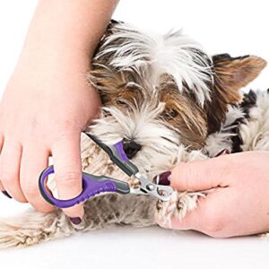 Hertzko Professional Pet Nail Scissors Sharp Stainless Steel Angled Blade for Easy Cutting - Suitable for Small Breed Animals - Dogs, Cats, Rabbits and Birds