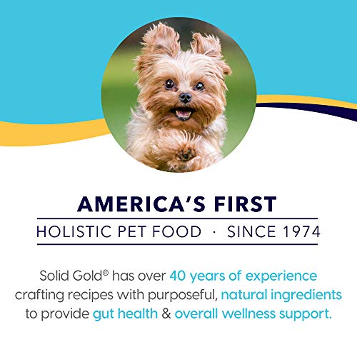 Solid Gold Wet Dog Food for Small Dogs - Mighty Mini Grain Free Wet Dog Food Made with Real Chicken, Chickpeas and Pumpkin - for Puppies, Adult & Senior Small Breeds with Sensitive Stomachs