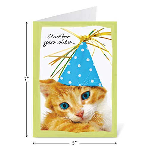 Current Mega Birthday Greeting Cards Value Pack – Set of 40 (20 Designs), Large 5 x 7 inches, Envelopes Included