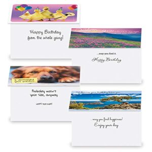 Current Mega Birthday Greeting Cards Value Pack – Set of 40 (20 Designs), Large 5 x 7 inches, Envelopes Included