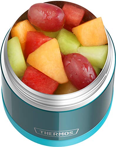 THERMOS FUNTAINER 10 Ounce Stainless Steel Vacuum Insulated Kids Food Jar, Teal