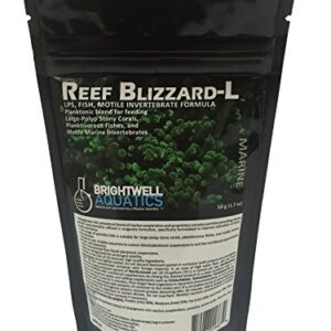 Brightwell Aquatics Reef Blizzard L - Powder Planktonic Food Blend to Feed Large Stony Corals & Planktivorous Fish, 50-g