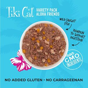 Tiki Cat Aloha Friends Variety Pack, Seafood Flavors with Pumpkin, Wet, High-Protein & High-Moisture Cat Food, For All Life Stages, 3 oz. Pouch (Case of 12)