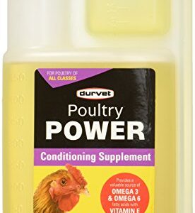 Durvet 698933 Poultry Power Conditioning Supplement 16 oz