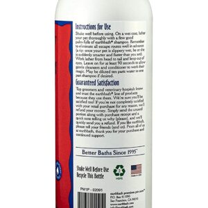 earthbath 2-in-1 Conditioning Shampoo for Pets, – Dog Shampoo and Conditioner, Conditions & Detangles, Made in USA – Mango Tango, 16oz (Pack of 2)