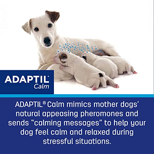 ADAPTIL Dog Calming Pheromone, 30 Day Refill - 1 Pack