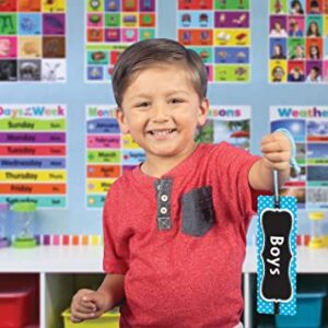 Teacher Created Resources Aqua Polka Dots Magnetic Boys Pass (77239)