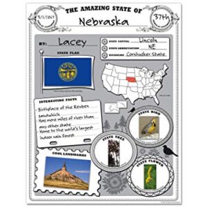 Teacher Created Resources Amazing State Poster Pack, Black, white, 17 x 22 Inch