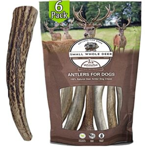 whitetail naturals - antlers for small dogs (6 pack) deer antler dog chew bones for small to medium aggressive chewers - long lasting horn chew toys - naturally shed